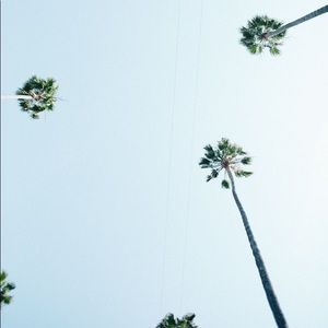 Meet your Posher, Nova